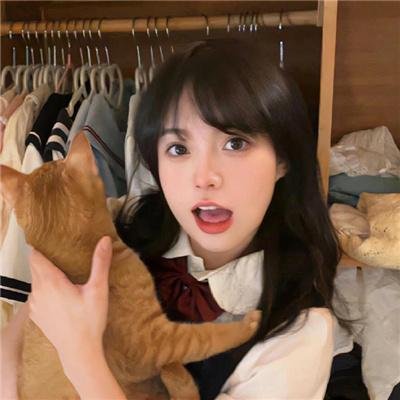 玫瑰公寓2017